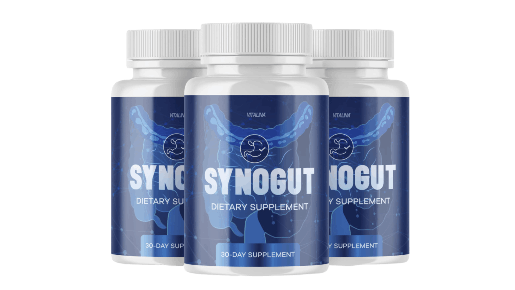 SynoGut Supplement